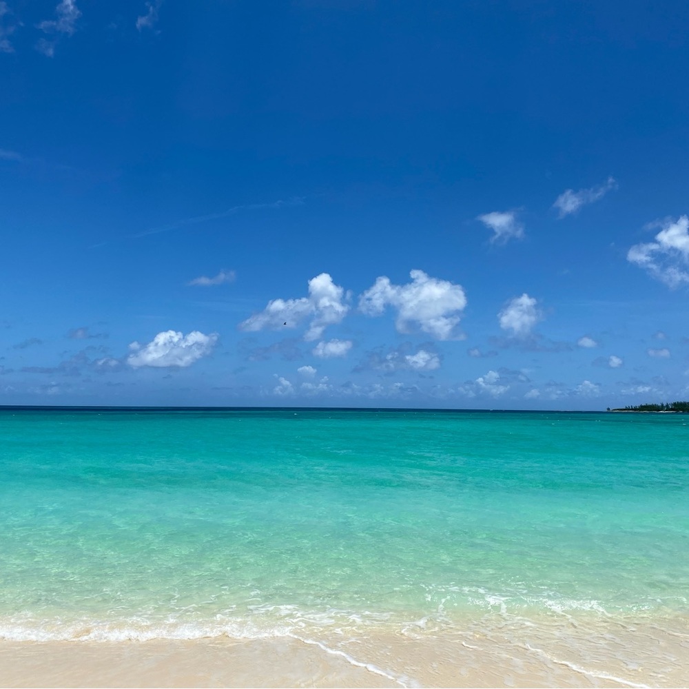 Meet your Posher, Daljit